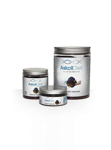 TROPICAL GRANULES